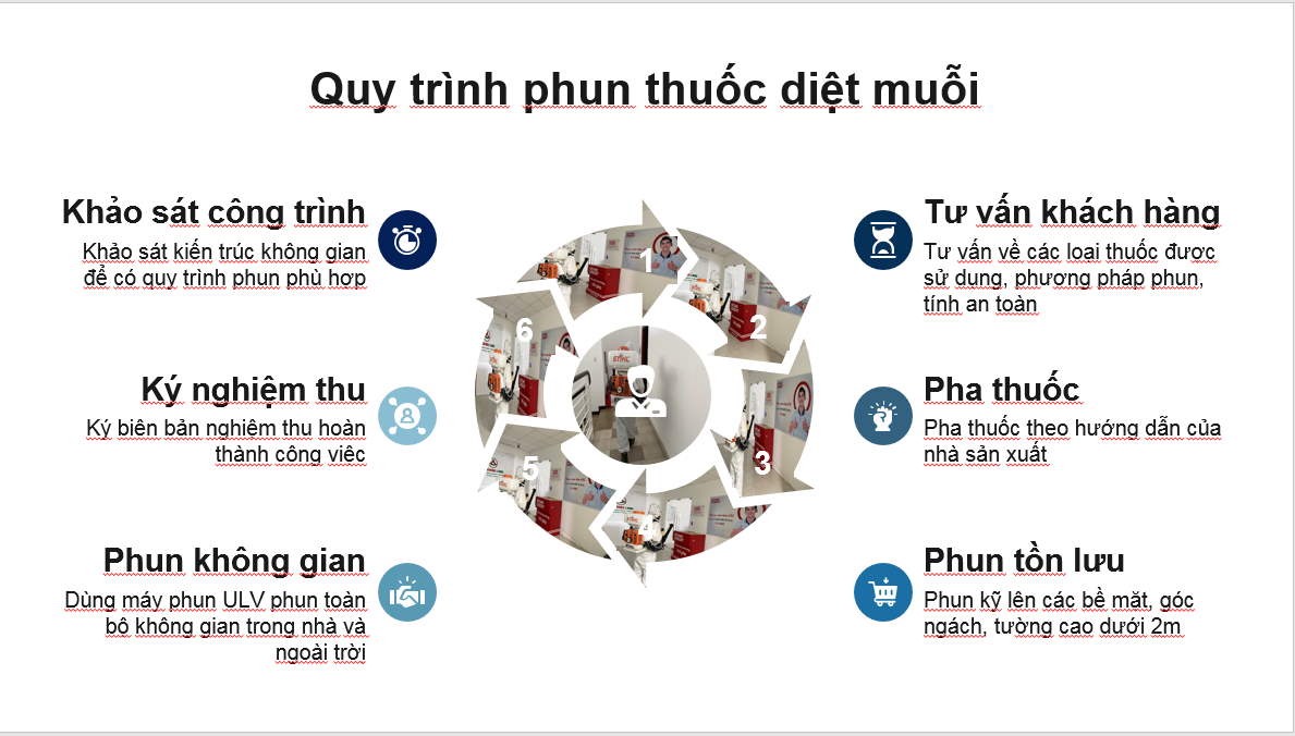 Quy trình phun thuốc diệt muỗi