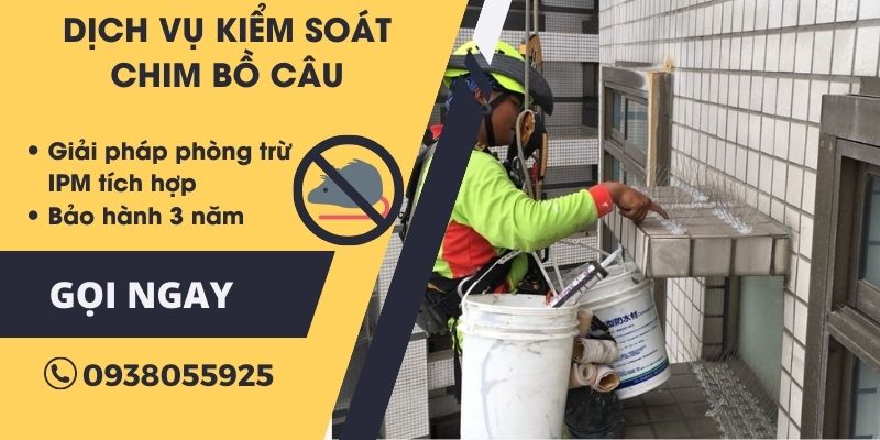 Lắp đặt gai chống chim bồ câu đậu tại chung cư.