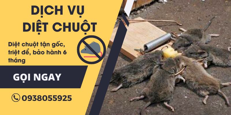 Diệt chuột bằng biện pháp bẫy chuột