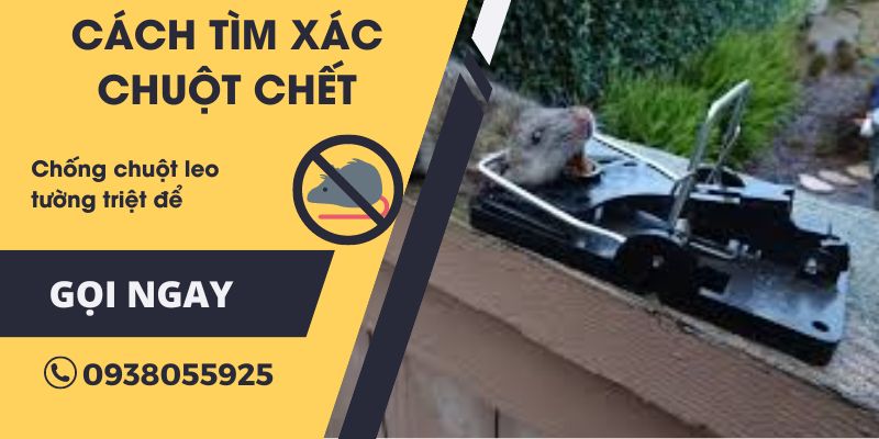 Nguyên nhân có xác chuột chết