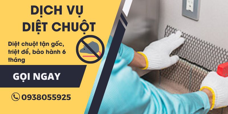 Chặn đường xâm nhập của chuột