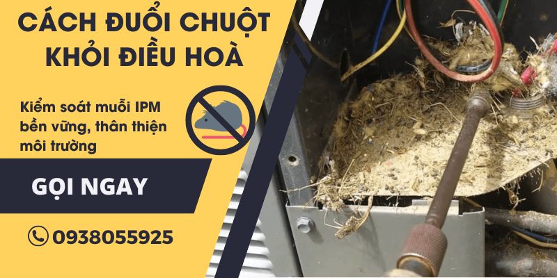 Cách đuổi chuột ra khỏi điều hoà không khí