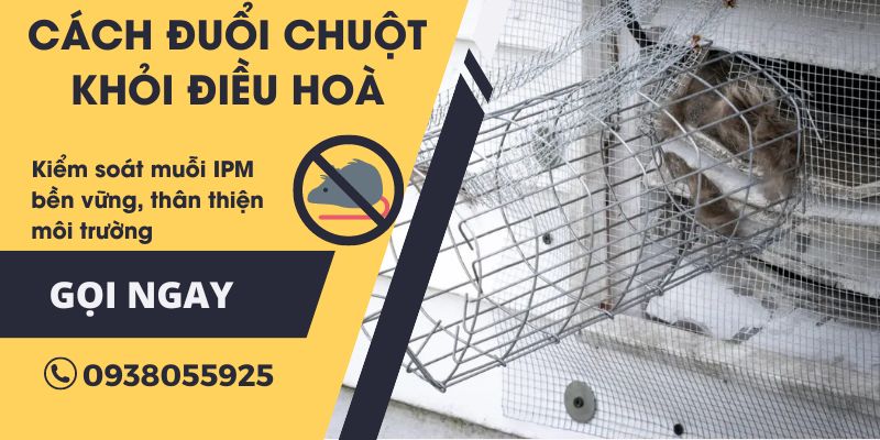 Cách đuổi chuột khỏi điều hoà