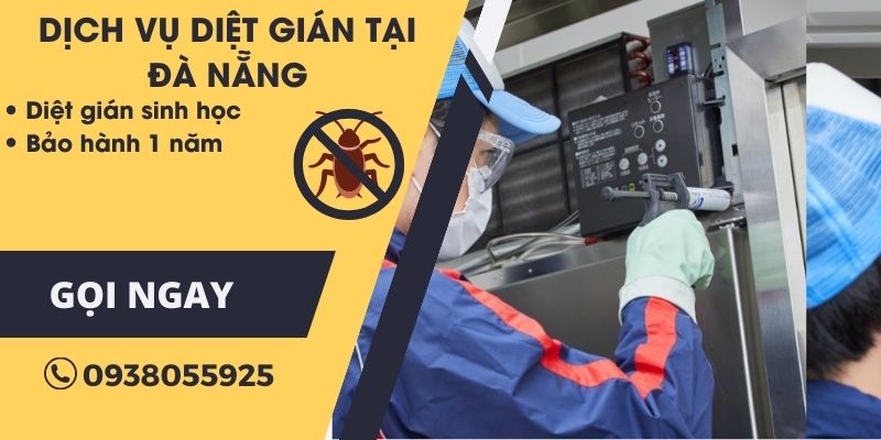 Dùng bã mồi diệt gián sinh học để diệt gián