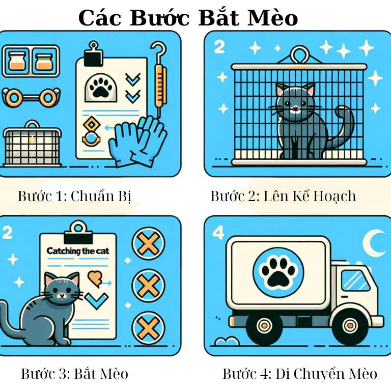 Quy trình các bước bắt mèo hoang